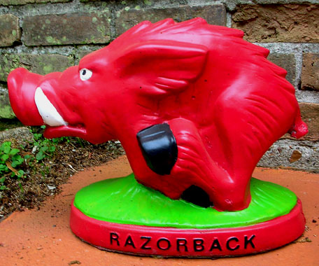 A present from the Schlegels.  It's a singular Razorback!